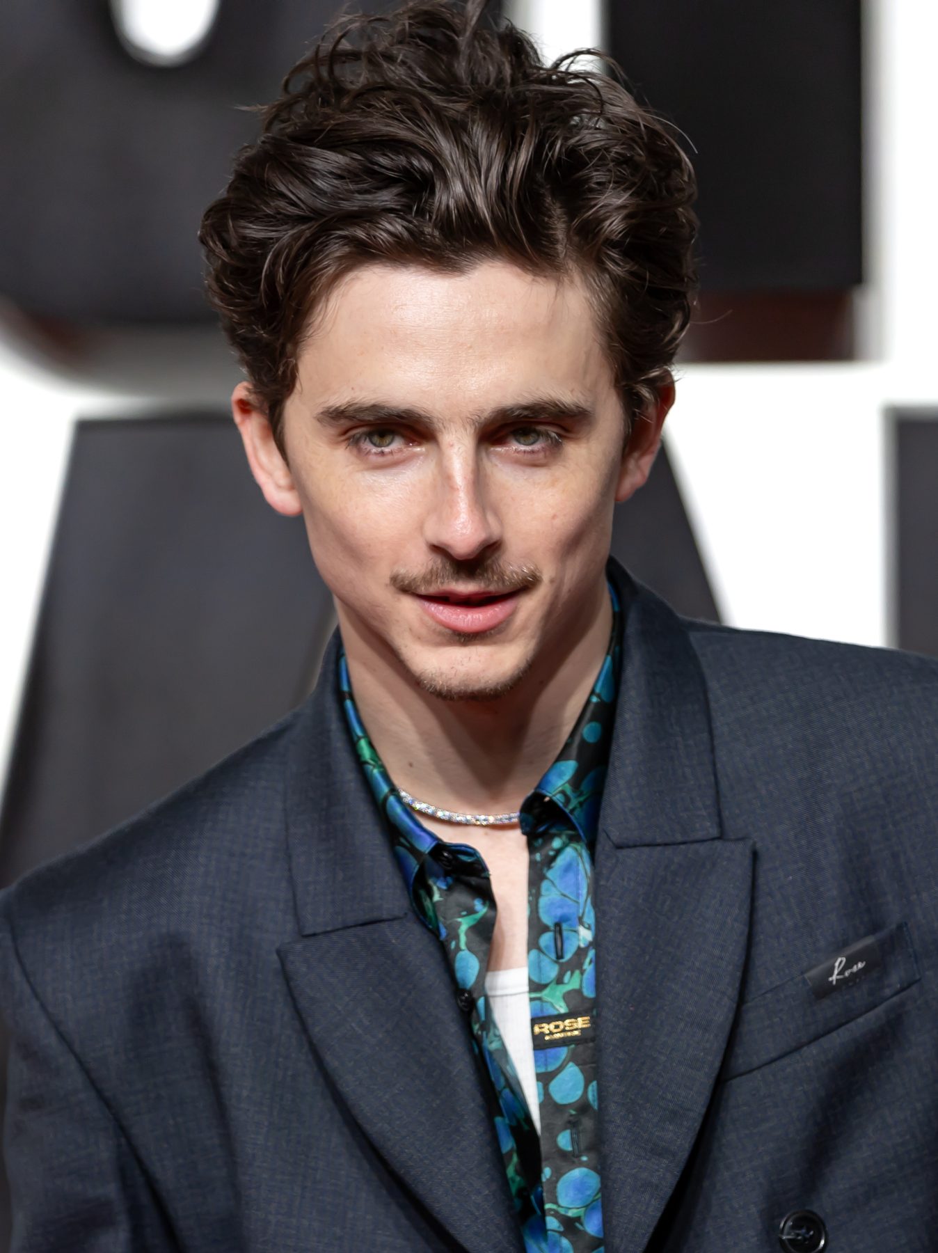 Timothee Chalamet in 2025